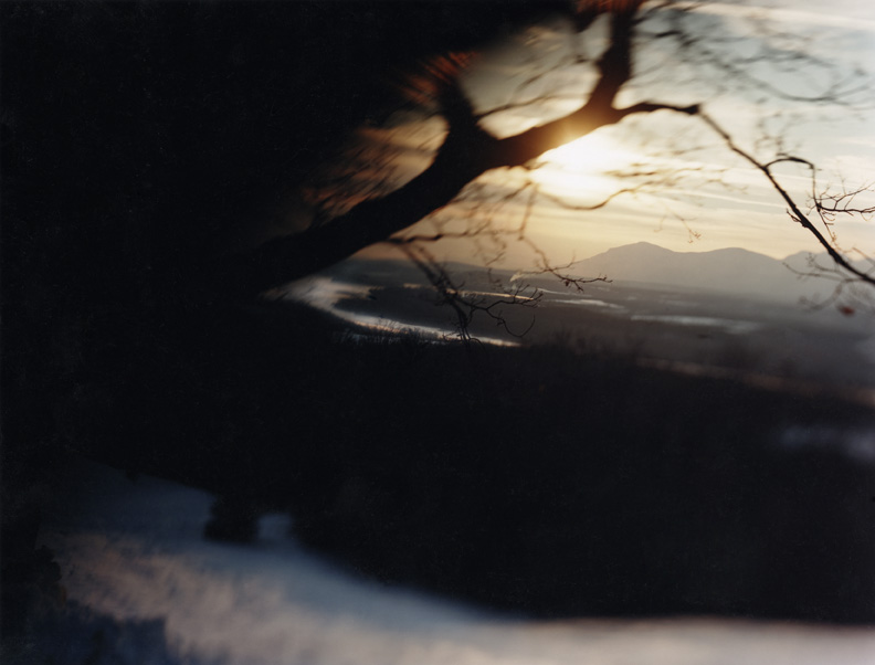 Susan Wides